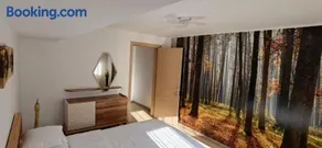 FOREST 12 - Image 3