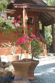 Sunny Mountain - Image 3