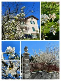 b&b Casa Galletti - Image 1