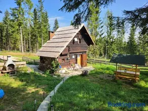 Urige Waldbienenhütte - Image 4