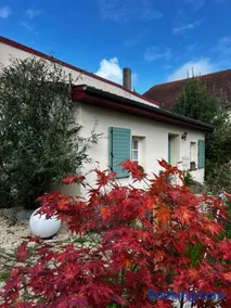 Domaine de la Mance - Maisonnette avec cheminée, bain nordique en supplément - Image 4