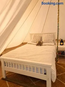 Damson Keep Wild glamping pop up - Image 3