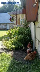 Aia mõisa puhkekeskus Kihnus - Image 2