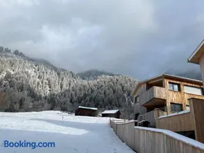 Aurelia - Image 2