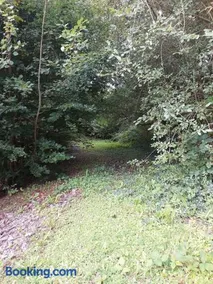 Home in Ennis - Image 4