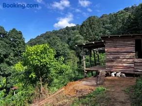 Migogo Gorilla Lodge - Image 2