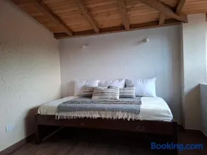 Cactus Living - Image 4