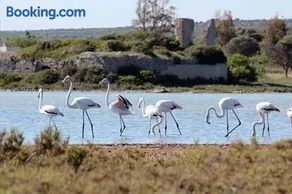Salento Beach - Image 1