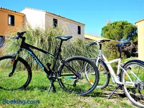Vacances pour tous en Camargue - Image 1