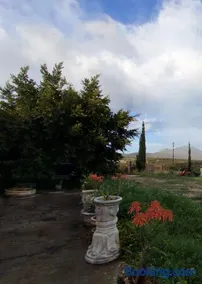 House in Porfyrousa organic farm - Image 2