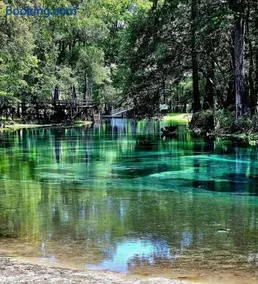 River Life - Image 1