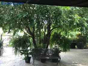 Hotel Chicala salgar - Image 4