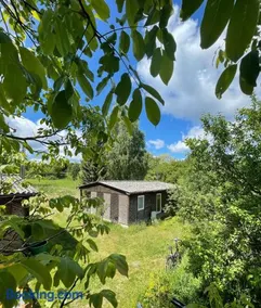 Haus 8 am Grimnitzsee mit Sauna - Image 2