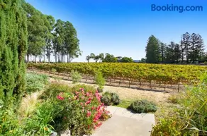 Stylish Vineyard Living at Winemakers Estate - Image 4