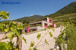 Nebbiolo Wine B&B - Winery & Vineyard Valtellina - Image 1