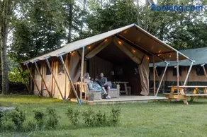 Minicamping Het Zuiderscheveld - Image 1