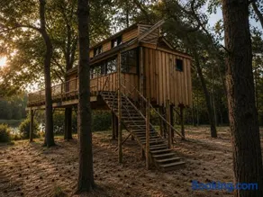 Bodhine Börkerheide - Image 1