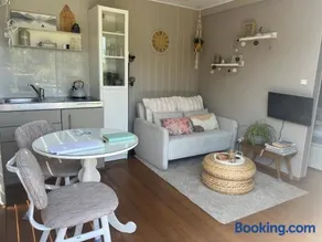 Tiny House Droom aan de Linge - Image 1