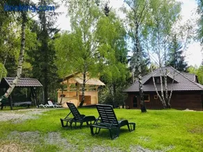 Cabana din padure si casutele din copac Belis - Image 2