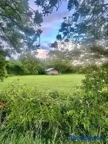 The Firs Glamping - Image 4