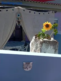 La Gatta Studio - Image 3