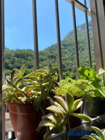 Casa Zona Sul - Image 2