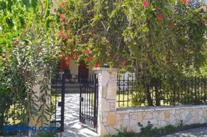 Greek village life by the sea - Image 5
