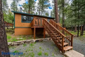 Roadrunner - Cozy Cabin - Whirlpool and Hot Tub - Image 2