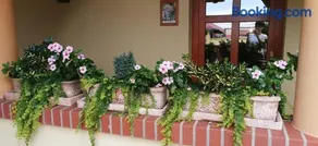 Vitis Vendégház - Image 5