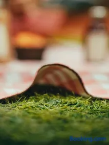 URBAN PIC NIC - Image 2