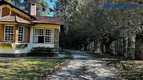 Casa do Bosque - Image 3
