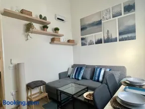 Studio one bedroom Arriaga St Madrid - Image 1