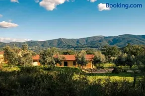 Quinta-lina de serpins - Image 5