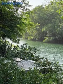 Mangrove bungalow & restaurant - Image 5