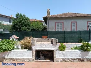 Il gelsomino - Image 1