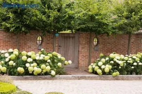 'Hof der Heerlijckheid' - Image 5
