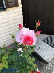 Anitas B&B Stockholm/Vällingby - Image 5