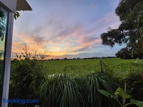 บ้านสวนนาตาสระบุรี NATA Ville - Image 4