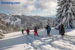 Edelweiss, Studio 5 pers, balcon sud est, vue sur les montagnes - Image 2