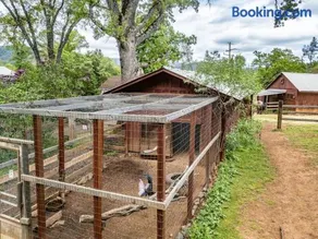 Homestead Ranch near Yosemite with Animals & Fresh Eggs - Image 4