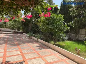 Casita in Jesùs - Image 2