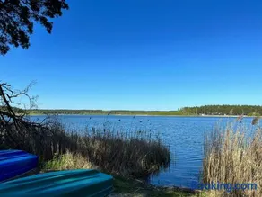 Ferienhaus im Wald, am Briesener See - Image 2