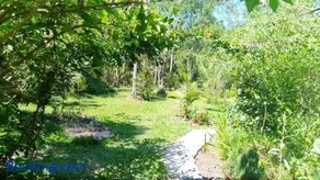 Cabana Bambu - Image 4