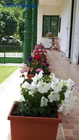 JOLANDA Vendégház - Image 1