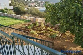 Villa Elaia Mirtila 50m from sea - Image 1
