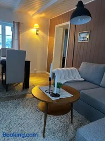 The house in Vika - Image 4