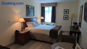 Hôtel St-Bernard - Image 5