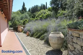 Tuscany Roses - Image 3