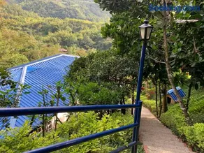 Finca Altamira - Image 5