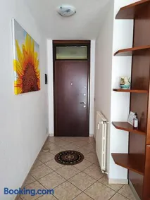 IL GIRASOLE - Image 3